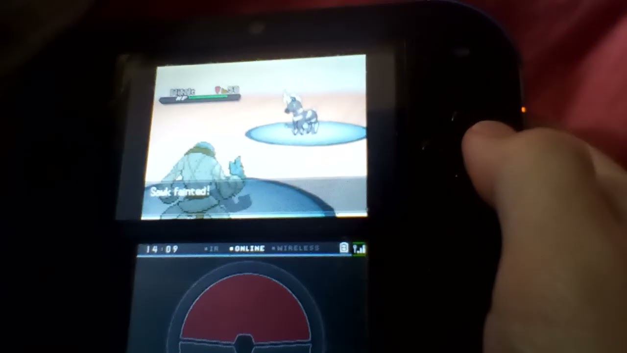 The sumo gen 5 monotype run Pokemon Black