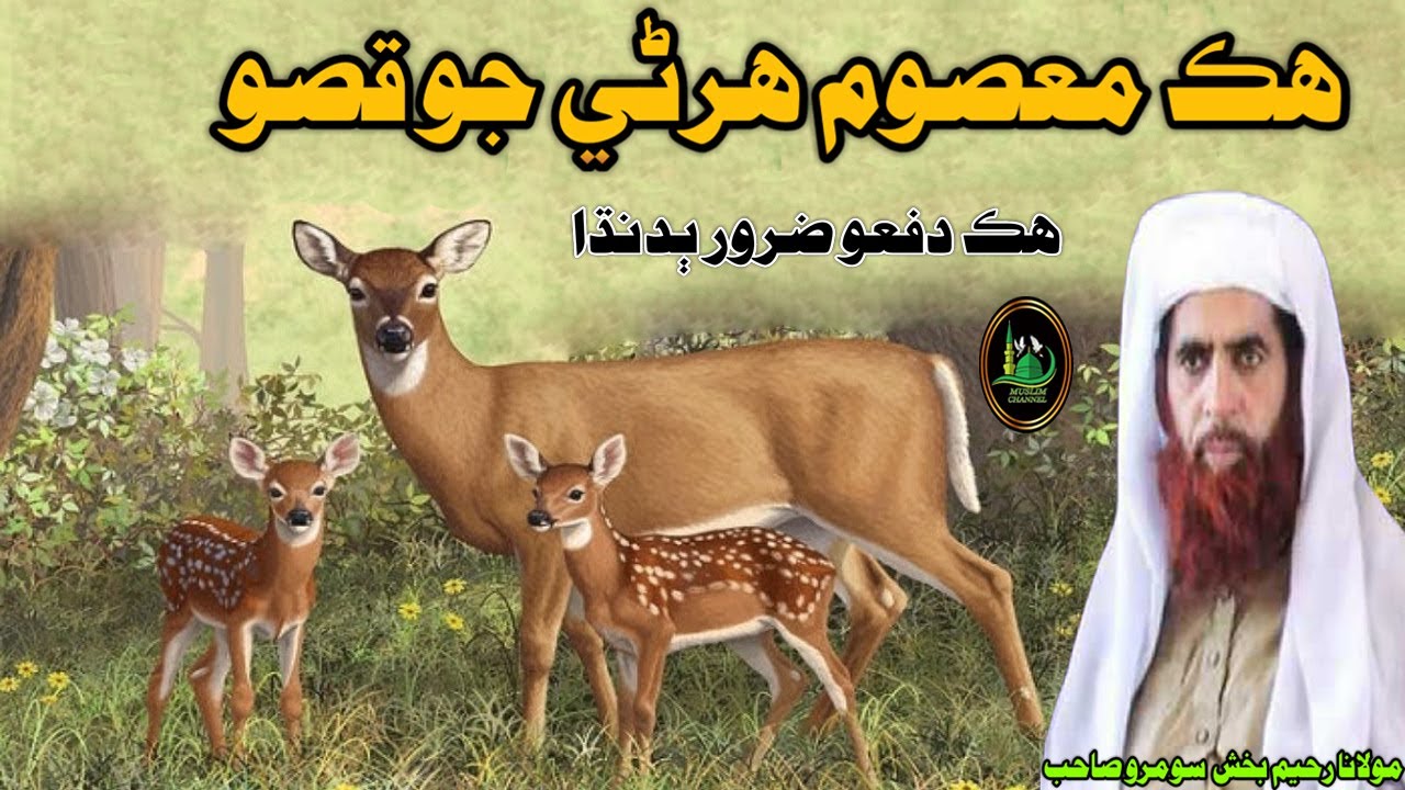 Molana Raheem Bux Soomro Sahab Hik Harni Jo Waqiyo (Muslim Channel)