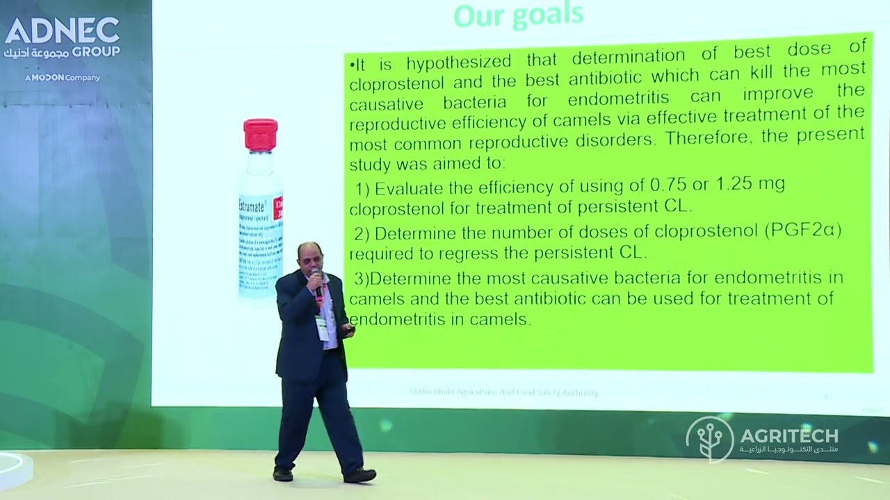 Efficacy of Cloprostenol in Treating Elevated Progesteronemia in Dromedary Camels | Agritech Day 3