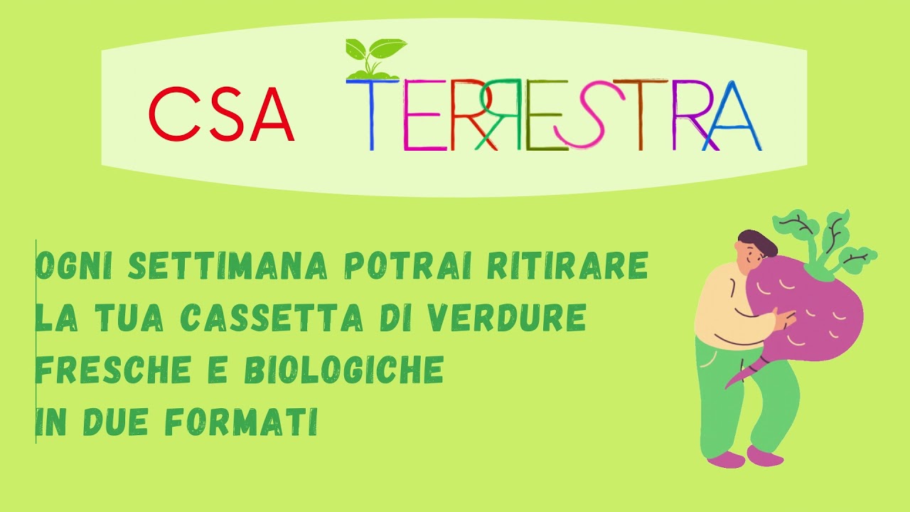 Le cassette della CSA Terrestra si compongono facilmente 🥦🍅🍐