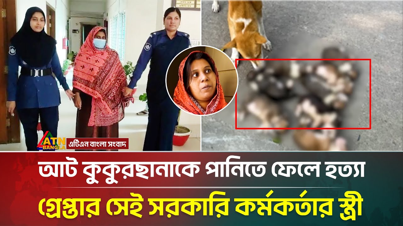 কুকুরছানাদের পানিতে ডু'বি'য়ে হ'ত্যা করা সেই সরকারি কর্মকর্তার স্ত্রী গ্রেপ্তার | Nishi Rahman |Pabna