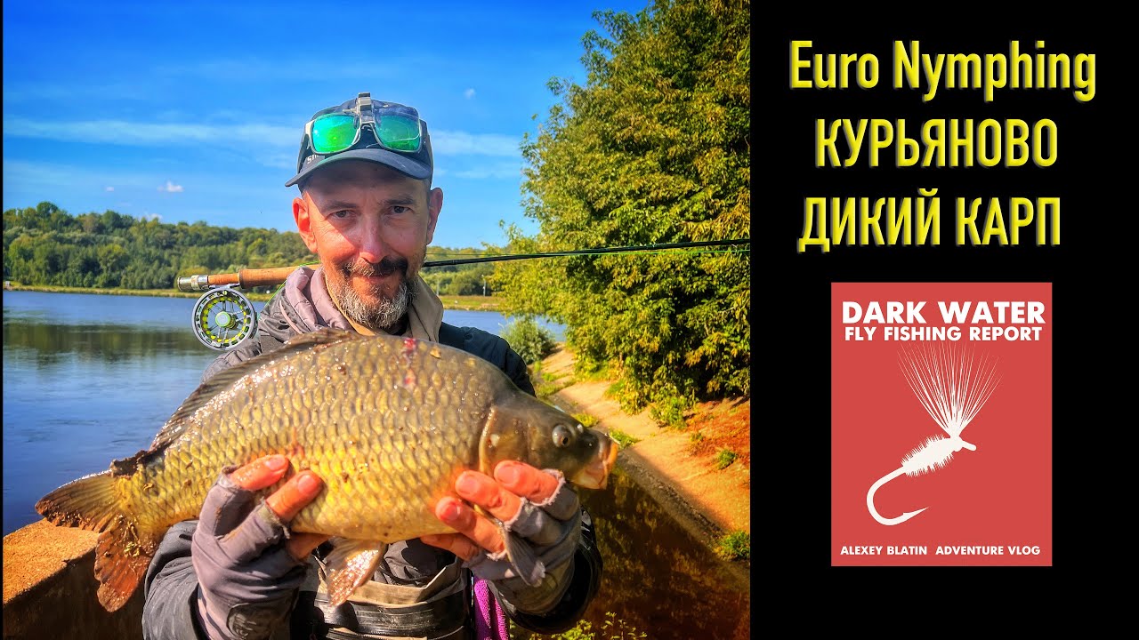 Euro Nymphing / КУРЬЯНОВО / ДИКИЙ КАРП