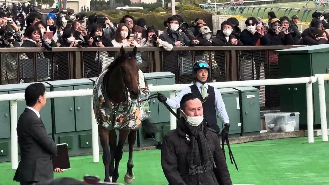 レッドバンデ、口取り撮影の様子