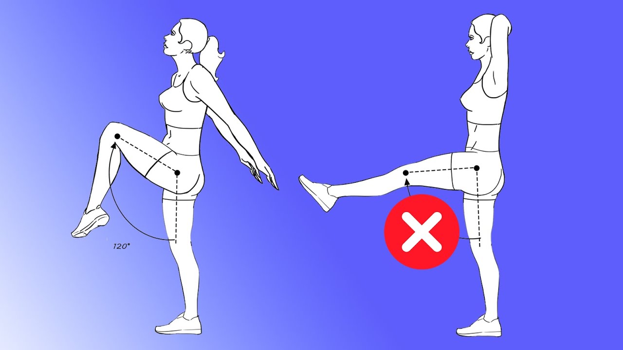 🟢 Cuales son los músculos Biarticulares y que función cumplen en la Cadera y la Rodilla.