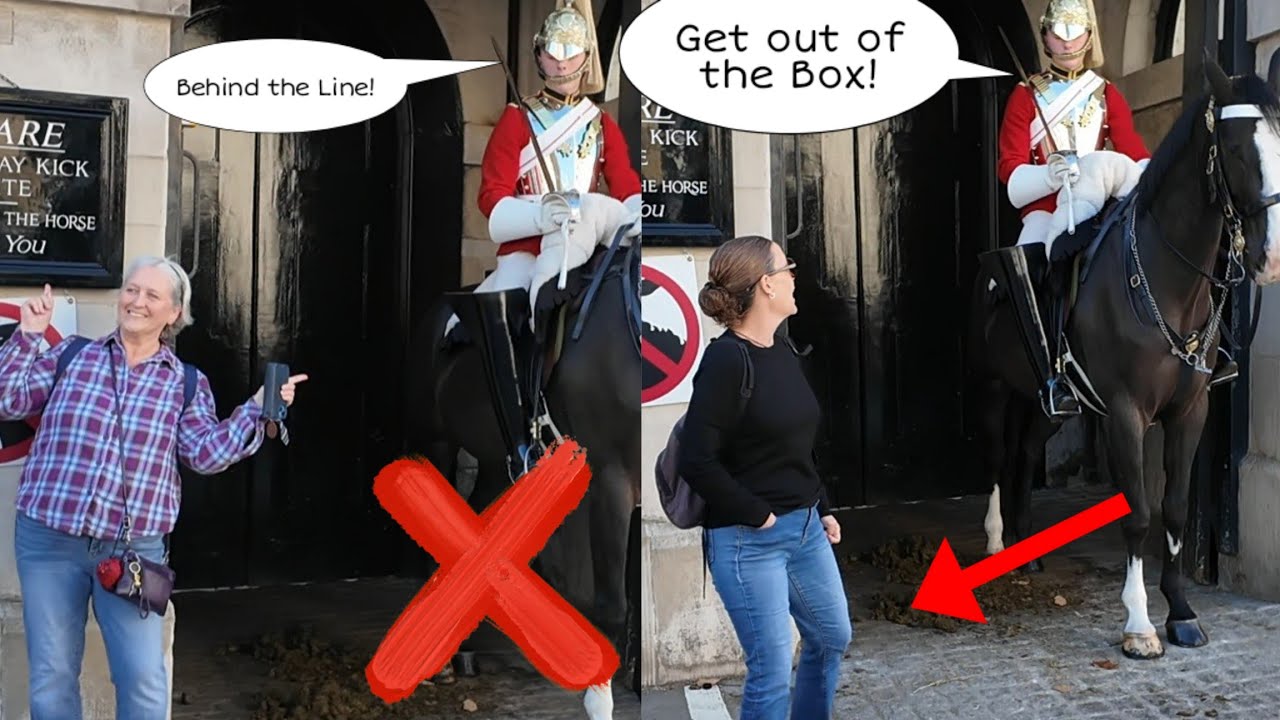 THANK YOU GUARD!🙏 Two tourists stepped in and got told off by The King's Guard