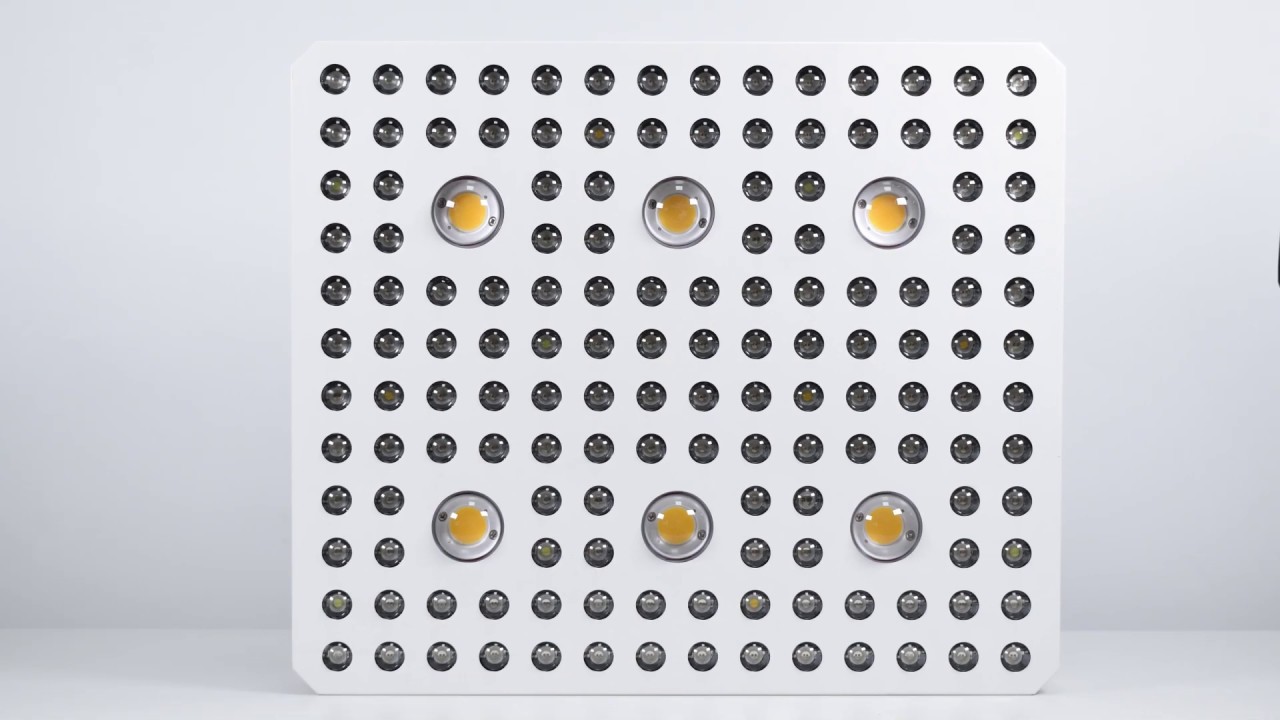 FSGTEK 3000W COB LED Grow Light COB6+LED