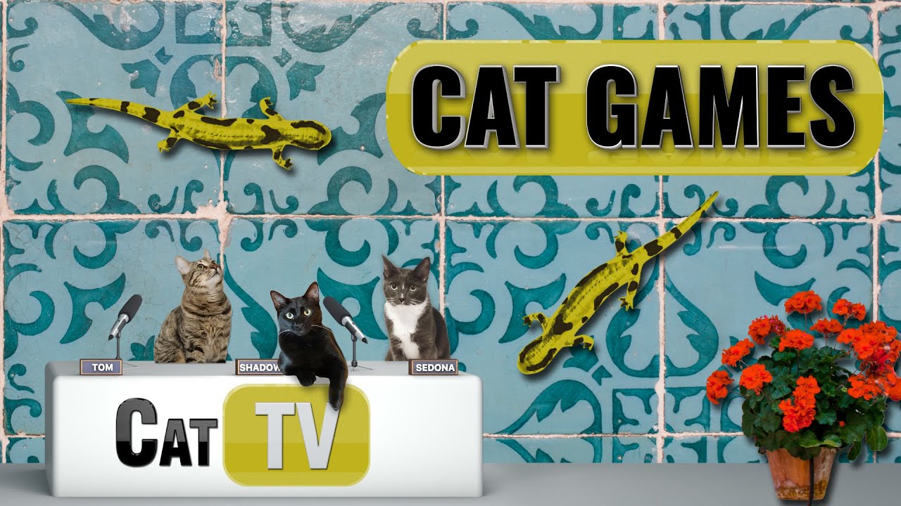 Кошачьи игры | 🦎Ящерица Тётя Линда в Испании! 🦎🇪🇸 | Кот ТВ