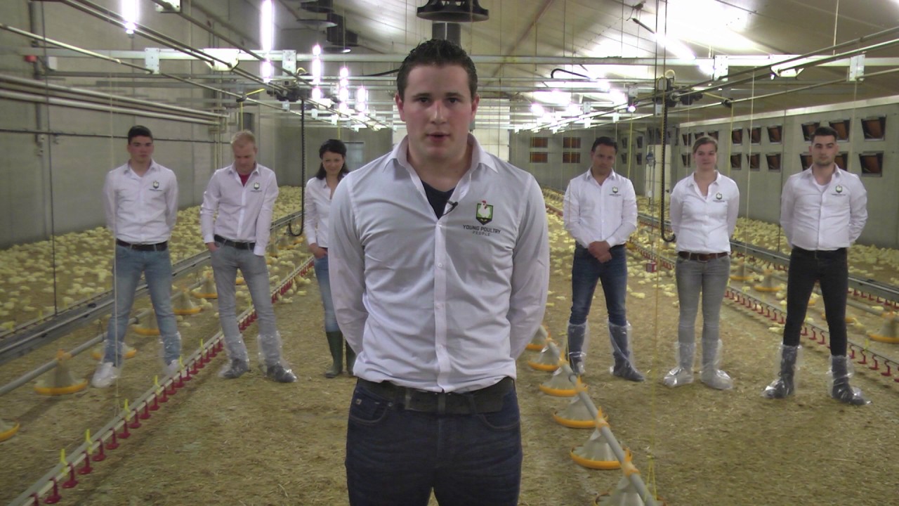 Pluimvee innovatieprijs: Young Poultry People - www.pluimveeweb.nl