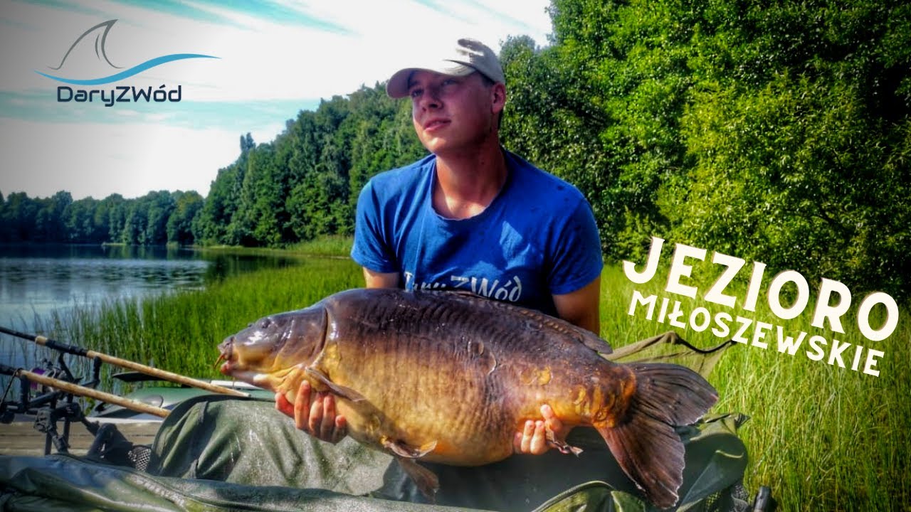 Karpie 20+ wakacje nad jeziorem Miłoszewskim  