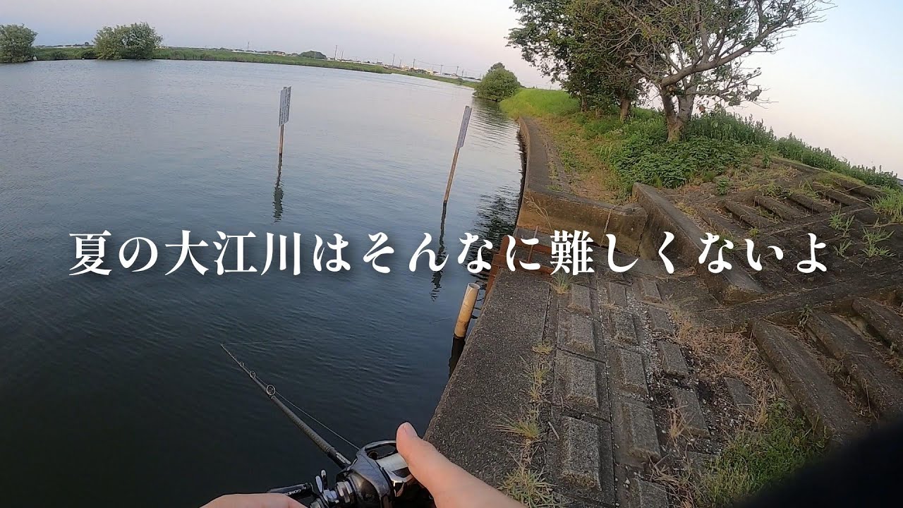 東大江川で夕方短時間釣行です。