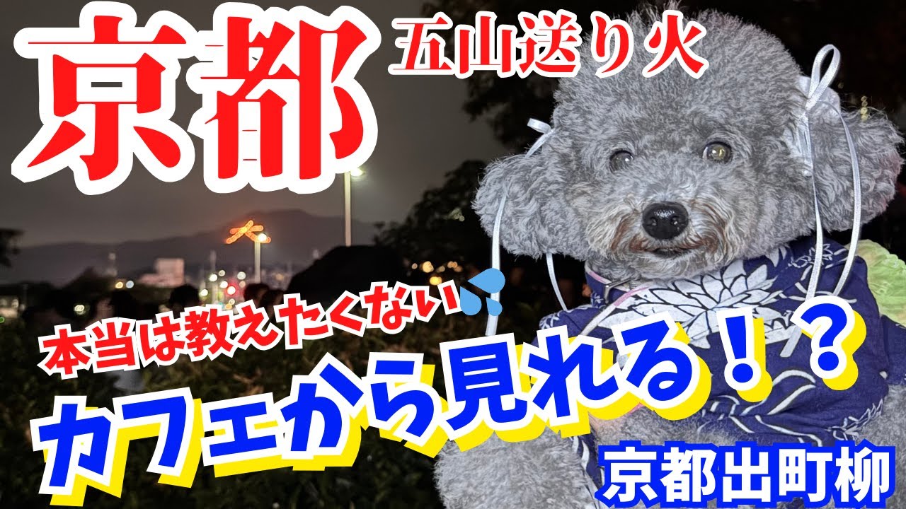 【犬と行けるカフェ】京都のおすすめカフェ が天国すぎた！ 鴨川・出町柳京都五山送り火