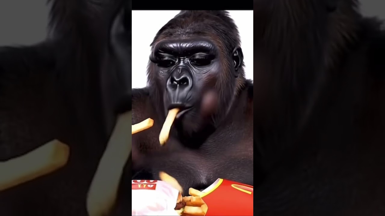 Gorilla Mukbang #veo3  #AI ￼#googleveo3 #mukbang