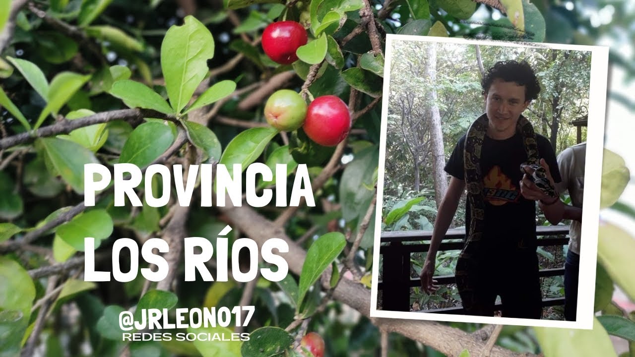 Los R&iacute;os - Ecuador 🇪🇨