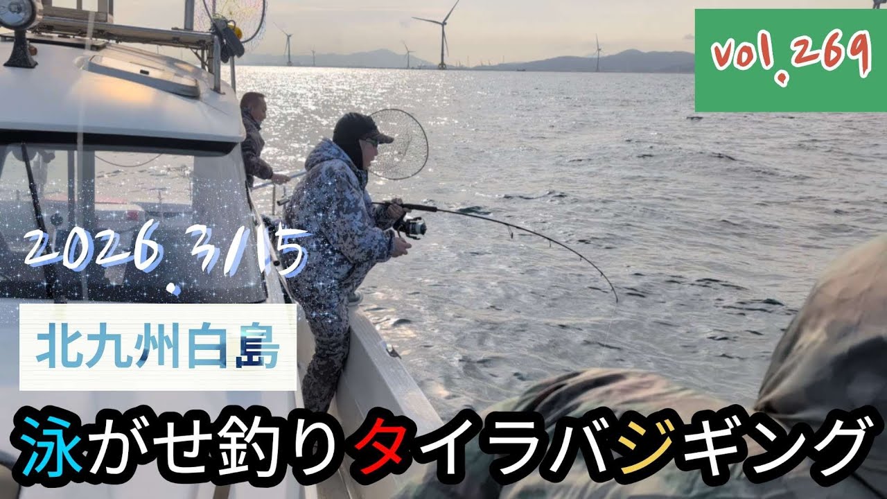 【vol.269】北九州白島泳がせ釣りタイラバジギング(2026.3/15)