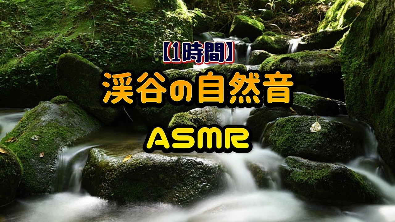 ​【60分】渓谷のせせらぎと虫の音鳥のさえずり 自然音・睡眠用BGM不眠症改善ストレス解消 ​#渓谷のせせらぎ #虫の音 #鳥のさえずり #自然音 #睡眠用BGM #不眠症改善 #ストレス解消