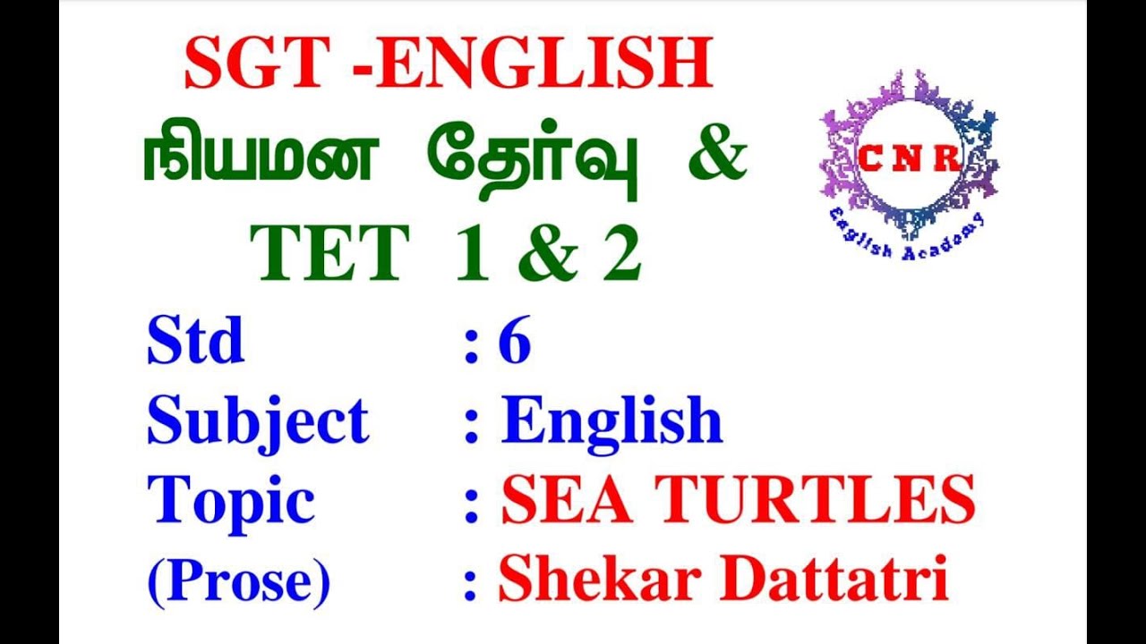 TET Paper 1 & 2 | SGT Appointment Exam | STD 6 | Term 1| Sea Turtles