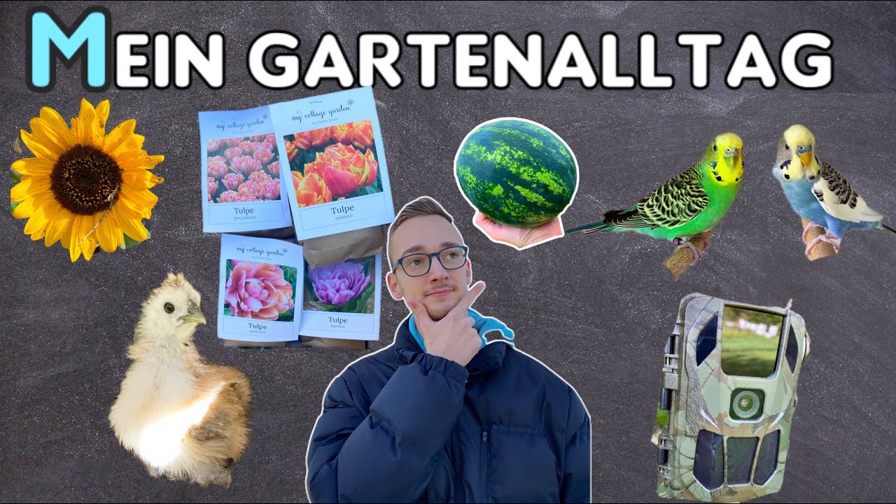 Mein Gartenalltag - ein Tag als Hobbygärtner 🫣🌱🧑🏻‍🌾