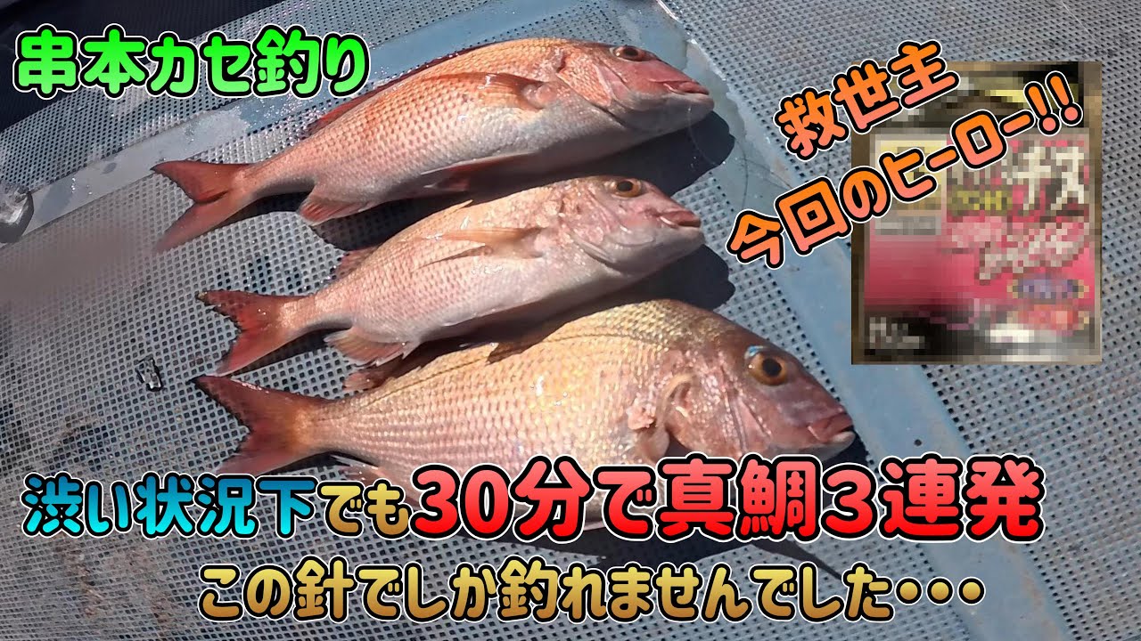 【串本カセ釣り】かなり渋い状況下でも、この針で3連発!!!救世主針誕生!!!