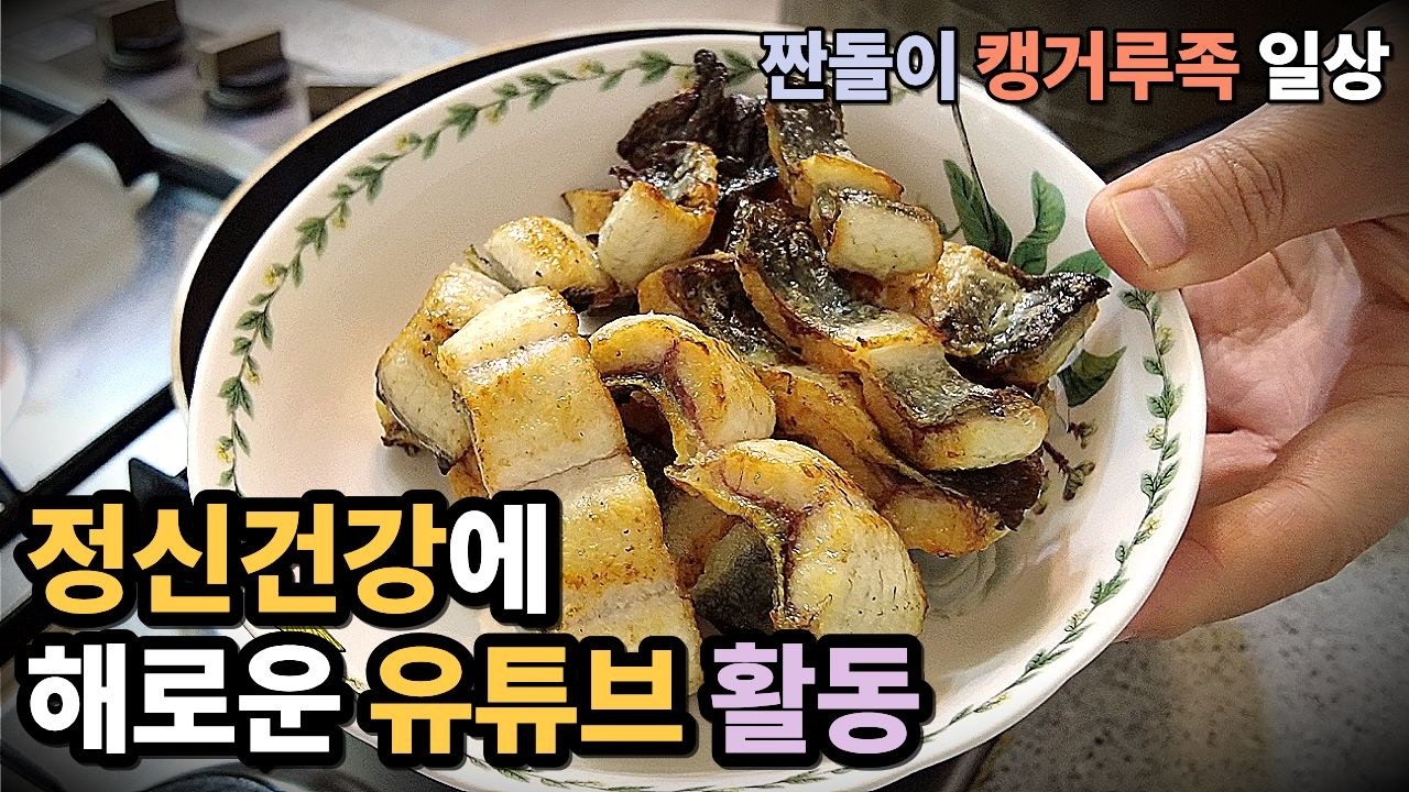 마음의 평화를 얻기위한 초보 유튜버의 자기위로와 합리화 그리고 정신승리