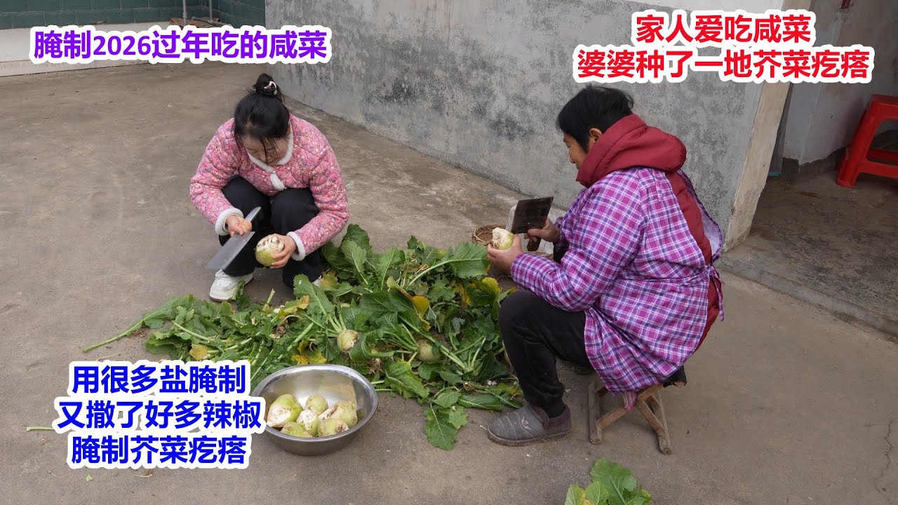 为了腌制2026过年吃的咸菜，婆婆专门种了一地芥菜疙瘩，儿媳用很多盐腌制，又撒了好多辣椒，这咸菜全家爱吃