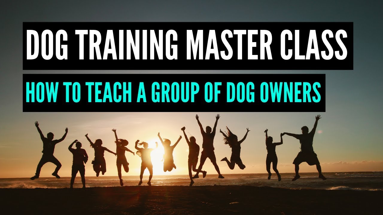 How To Teach A Group Of Dog Owners / MASTERCLASS DOG TRAINING