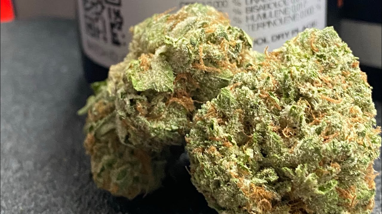 🍊💨Medical Marijuana Review #107 : Orange Rollz : GTI Rythm