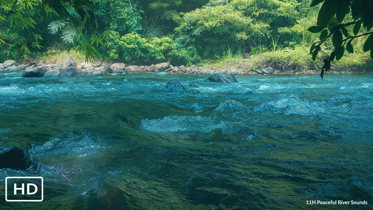 Real Night Water Flow – Drift Into Dreams