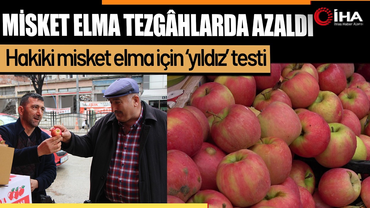 Taklitlerinden yıldız testiyle ayırt edilebilen misket elması yok satıyor