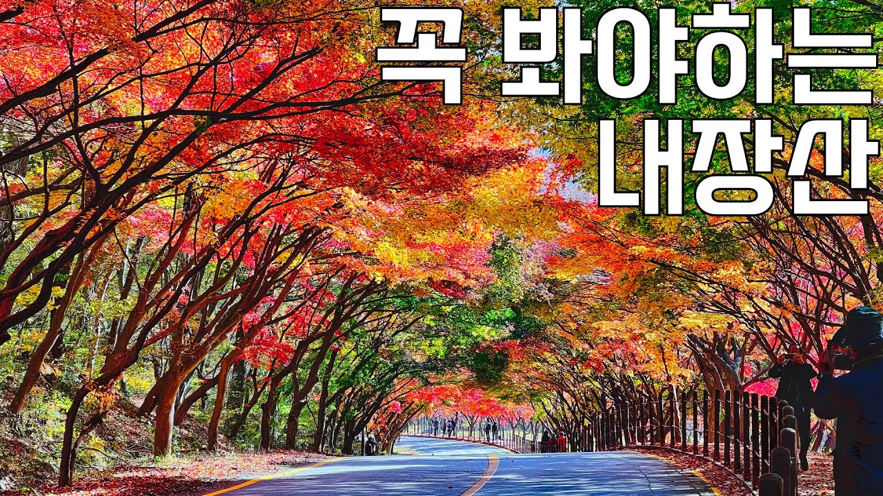 입장료, 주차료 없이 한적하게 내장산 단풍 보는 법  | 내장산 서래봉, 불출봉 등산 가이드