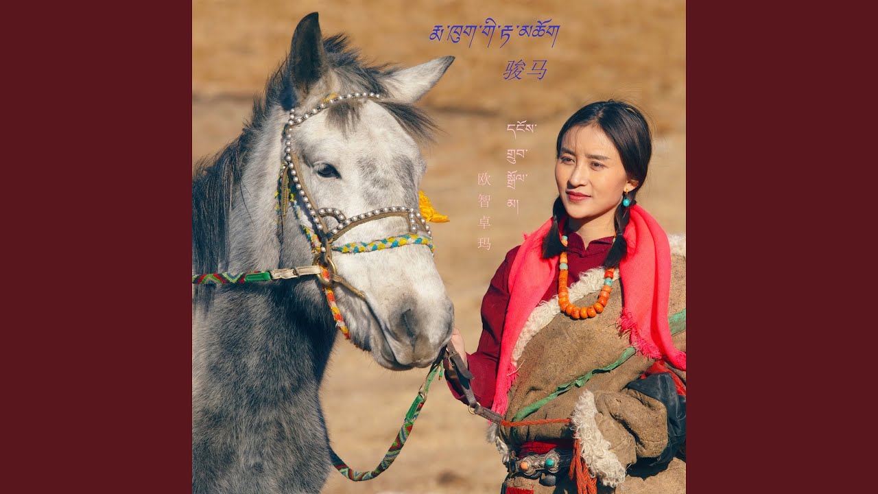 骏马