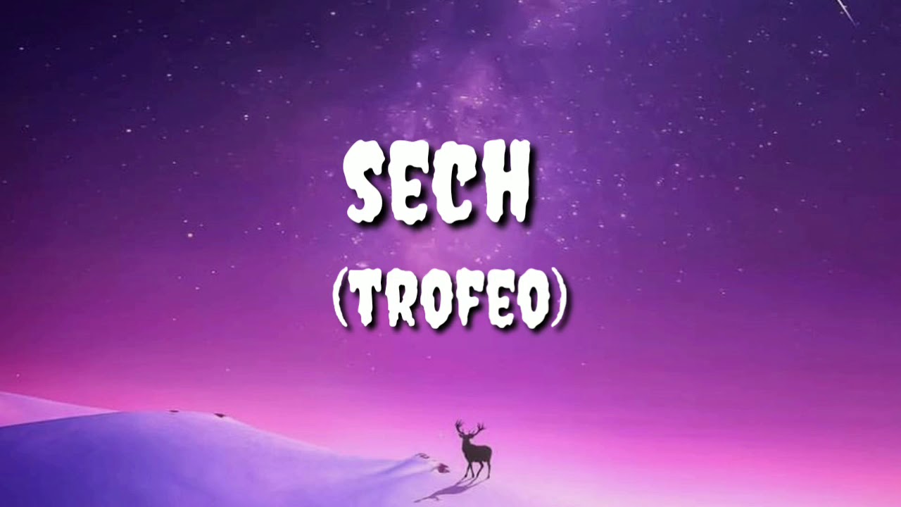 TROFEO- sech (Letra/Lyrics)