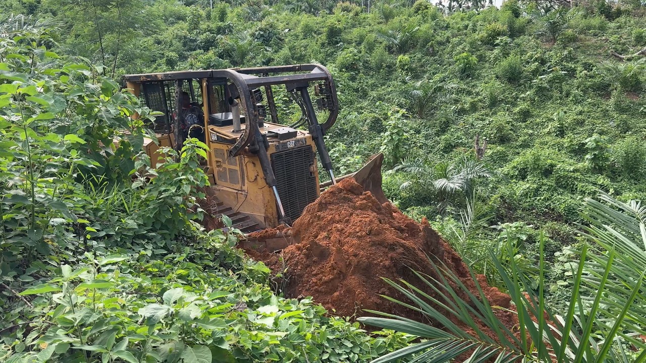 At the Palm Oil Plantation, a D6R XL Bulldozer Builds a Road for Access