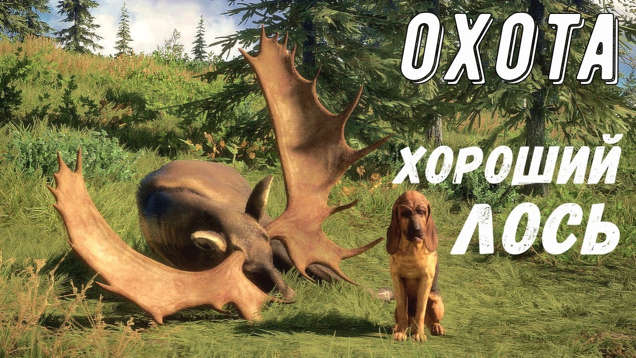 Взял огромного ЛОСЯ.  Много трофеев - TheHunter Call of the Wild # 130