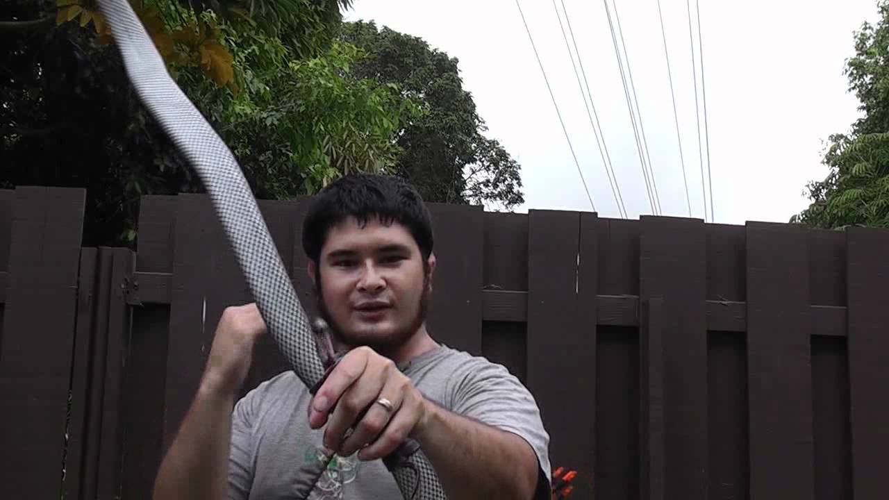 Shooting a Centershot PVC Pipe Bow - The Snakey Recurve