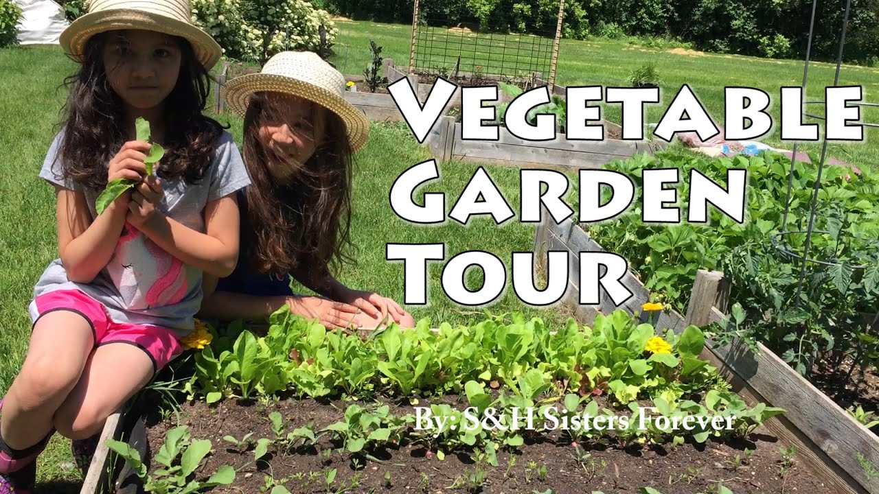 VEGETABLE GARDEN IN THE BACKYARD - ORGANIC GARDENING TIPS AND TOUR FOR 2019