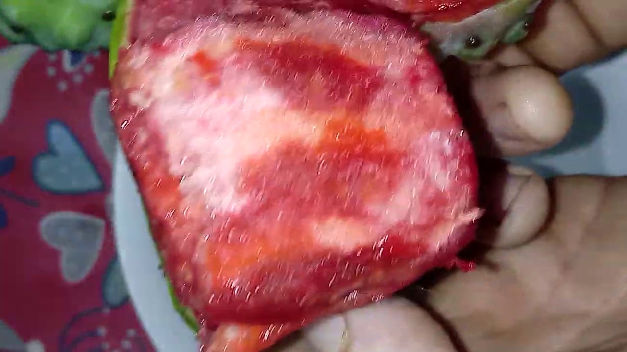 انواع ثمرة الصبار في الجزائر 🇩🇿