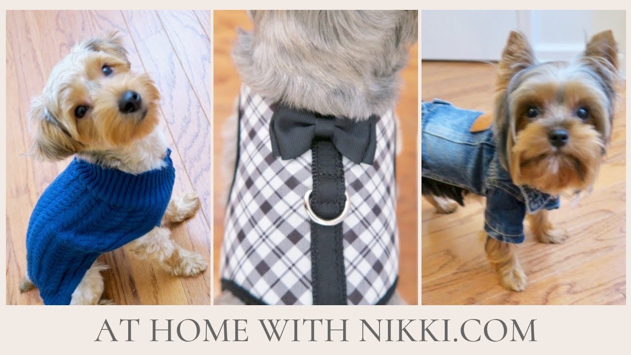 PET FALL CLOTHING HAUL 2018