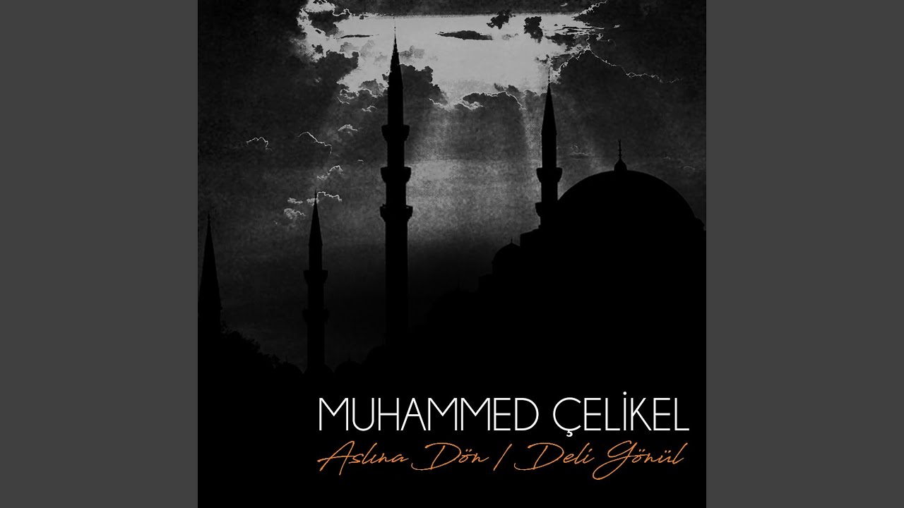 Şahı Nakşibend Sultanım