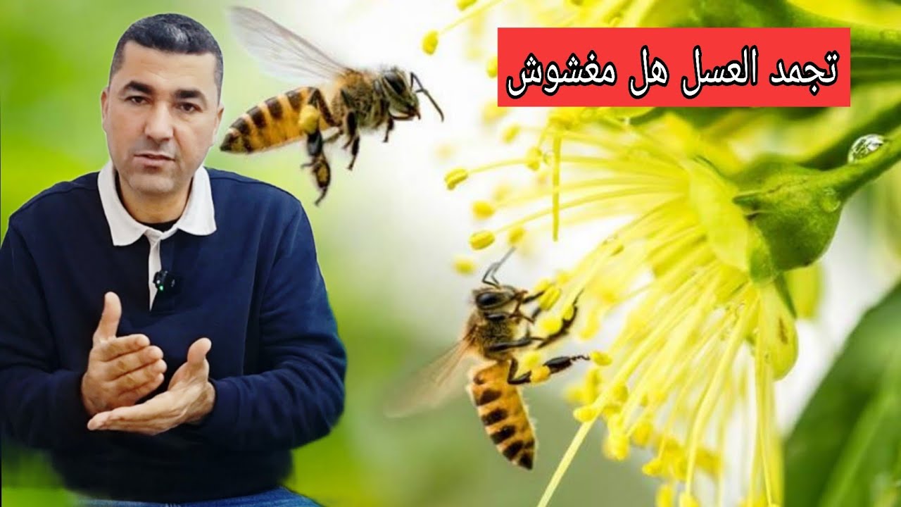 تجمد أو تسكر العسل هل مغشوش 