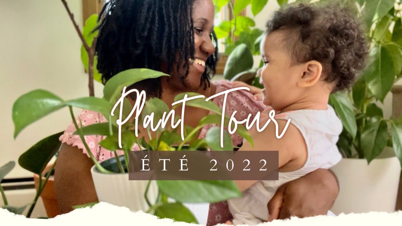 PLANTES TOUR 🍃Toutes mes plantes d’intérieur + mon balcon | Été 2022