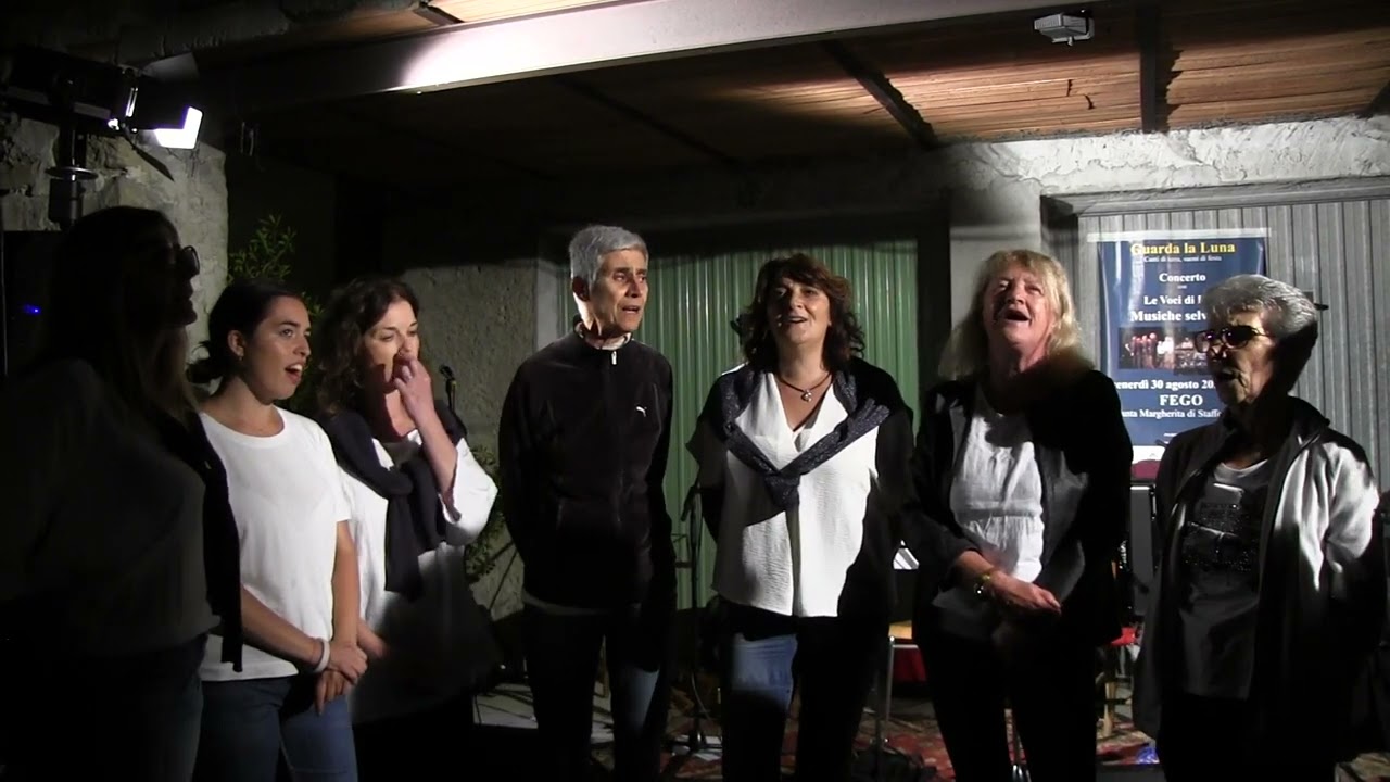 Le Voci di FEGO   