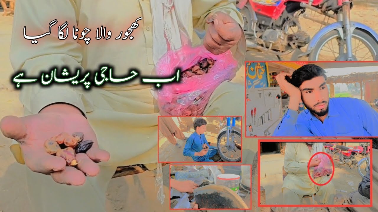 Haji ko khajuron wala loot Gaya chuna Laga haji sab ko khajuron wala loot Gaya chuna lg#villagelife
