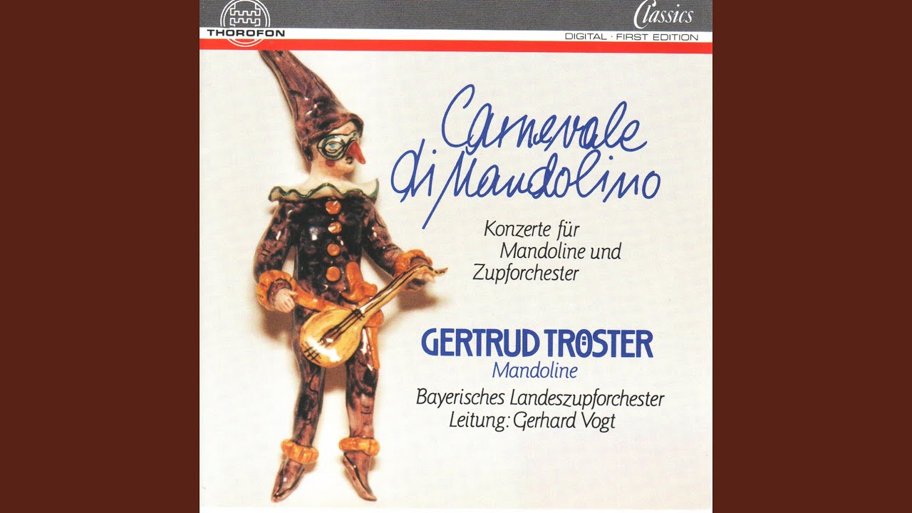 Konzert C-Dur f&uuml;r Barockmandoline und Zupforchester: I. Allegro