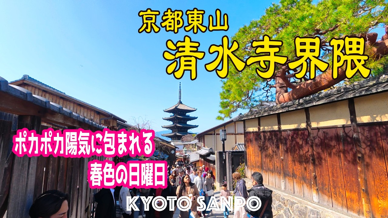 2026/3/1 (日) 🌸春色のポカポカ日曜日🌸 春を感じる暖かな陽気に包まれる清水寺界隈をゆっくり歩く京都観光Vlog /春の京都/春さんぽ/Kyoto walk [京都4K]