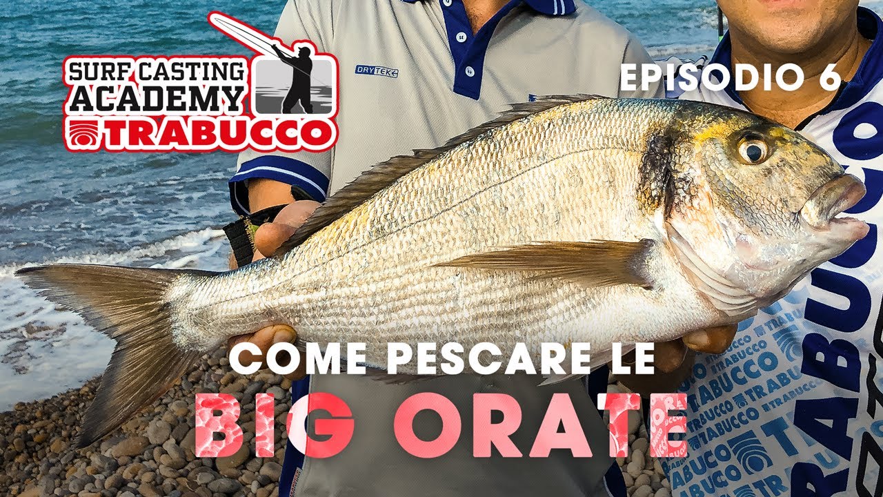 COME pescare le BIG ORATE | SURFCASTING Academy S4E6 | @trabuccofishing