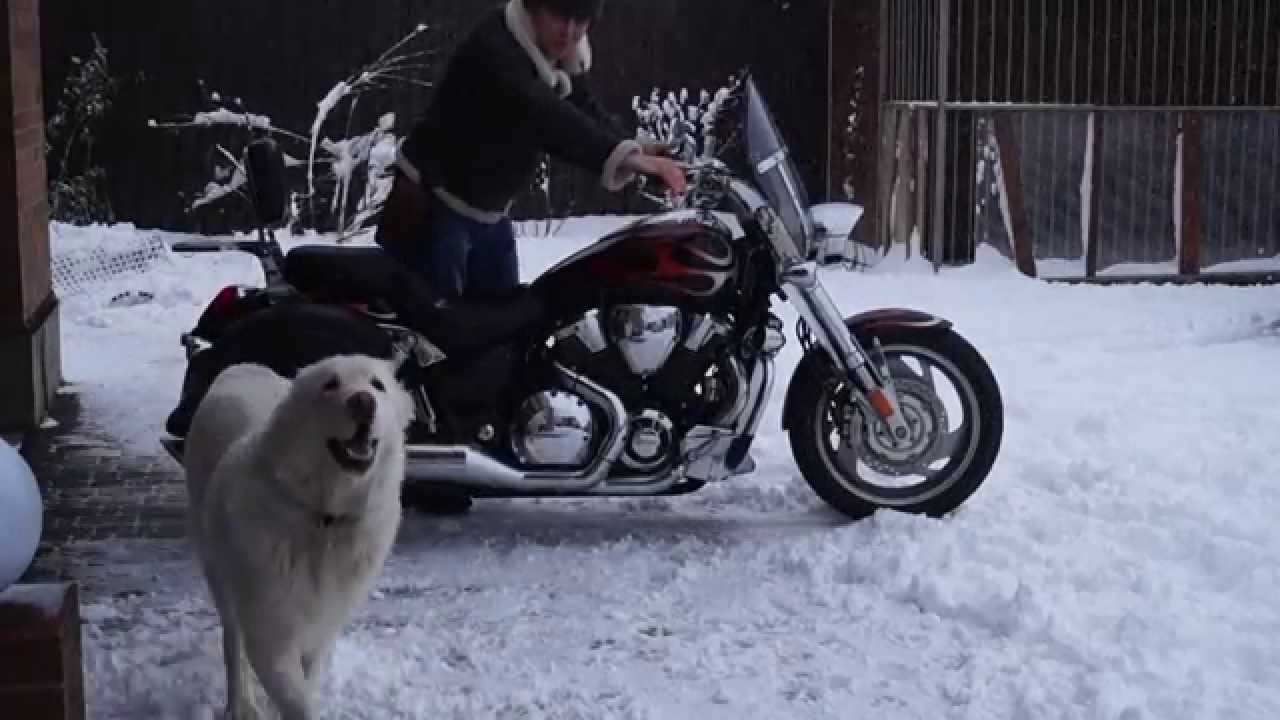 Review. How to make cold engine start and Honda VTX 1800 exaust sound