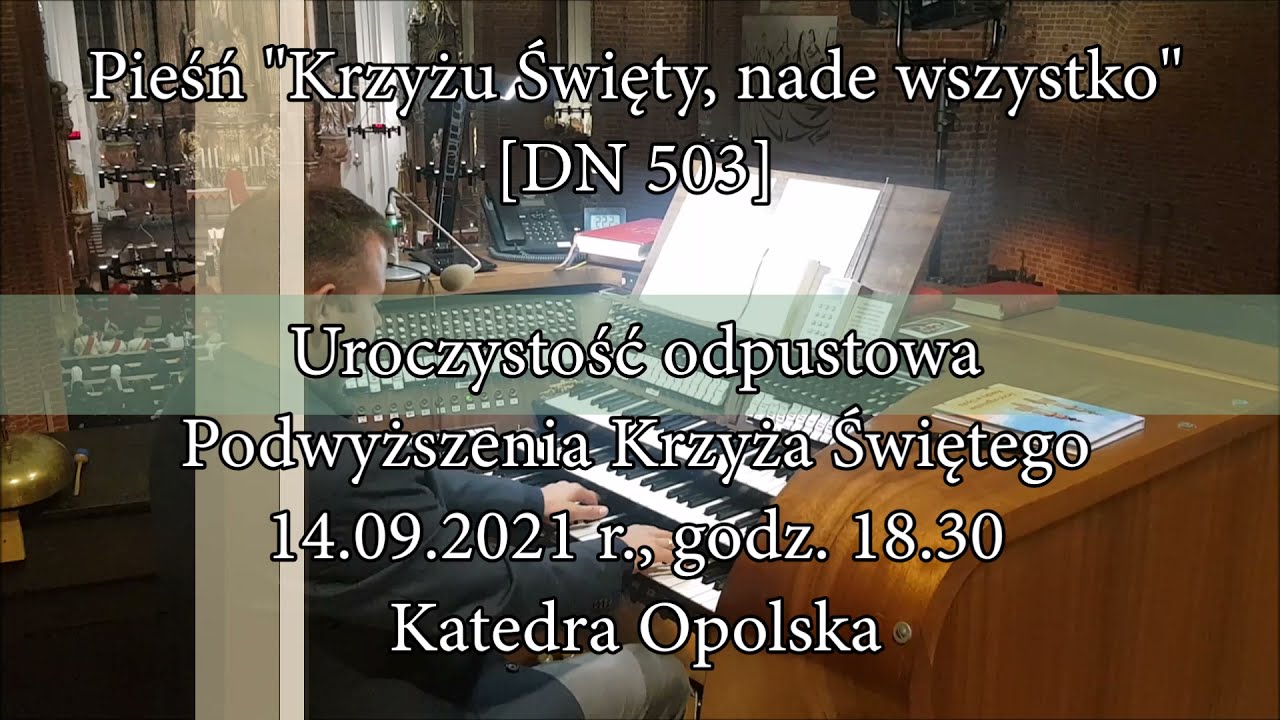 Krzyżu Święty, nade wszystko [DN 503]