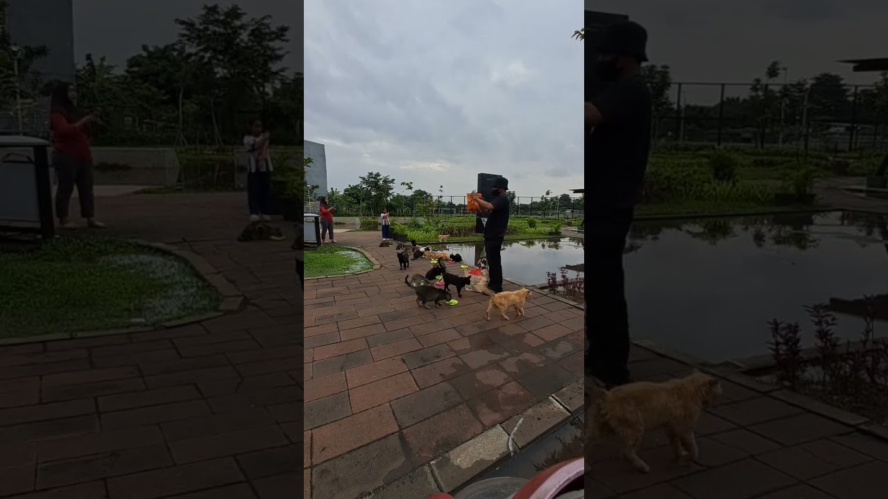 Mereka langsung berkrubutan ada uang lari dari kauh