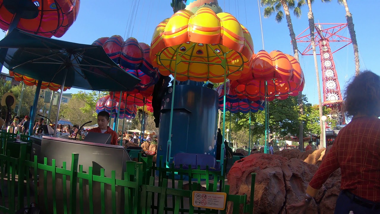Jumpin' Jellyfish POV 4K Video