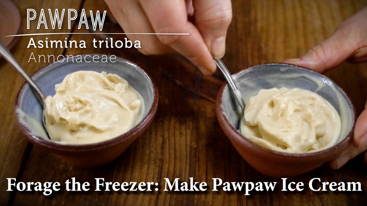 Making Pawpaw Ice Cream: Easy Step-by-Step Master Recipe